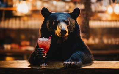 April Events You Can’t Miss in Ellijay