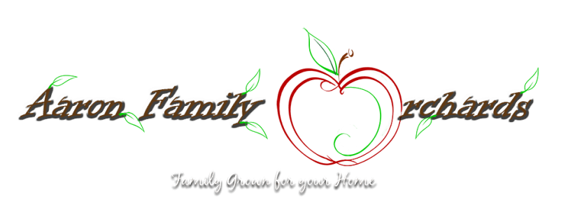 2025 Creative Expression Award Winner: Aaron Family Orchards