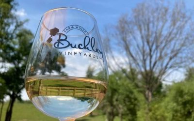 Celebrate Mothers Day and Sip Local at Buckley Vineyards