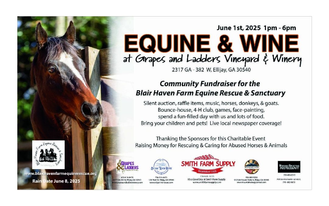Events You Can’t Miss This June in Ellijay