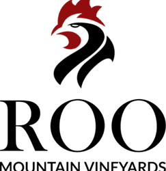 2025 Frontline Service Award Winner: Rachel McConaughey