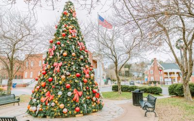 Best of the Fests – Winter