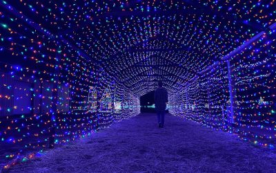 December Events in Ellijay