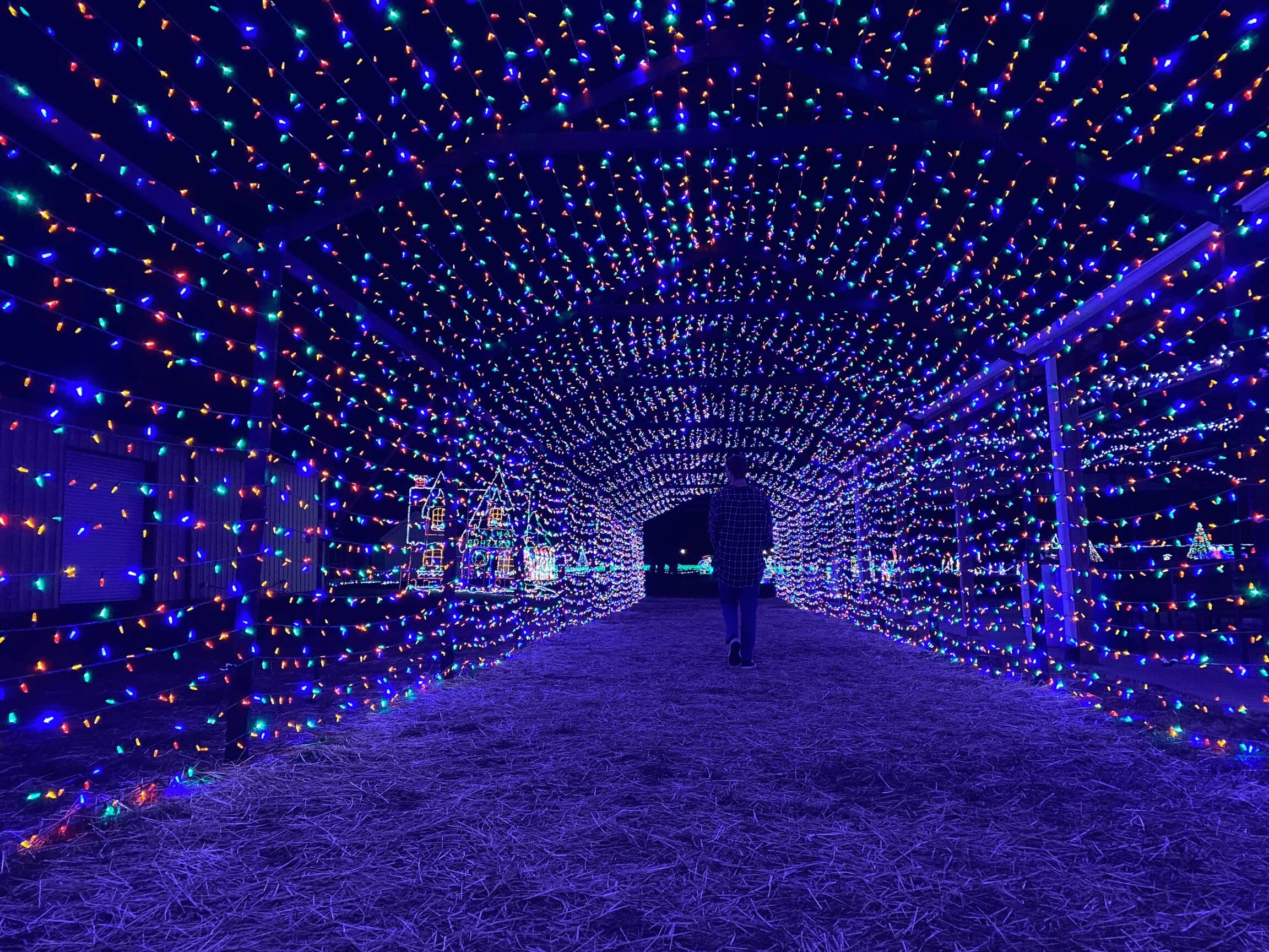 December Events in Ellijay